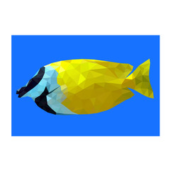 Colorful polygonal style design of fish