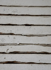 old wood texture detail background