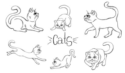 set of graphic black and white cats.