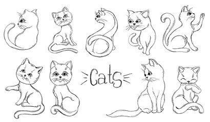 set of graphic black and white cats.