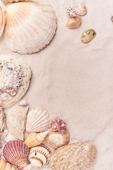 Sand beach space for an inscription wallpaper background among seashells
