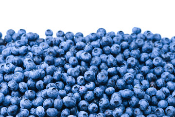 Fresh blueberry background. Texture blueberry berries close up.