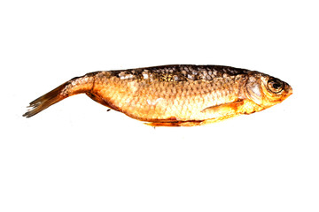 dry fish isolated on white background