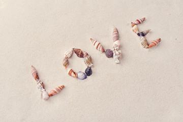 Fototapeta na wymiar Inscription LOVE made of seashells on the beach sand on a sunny day