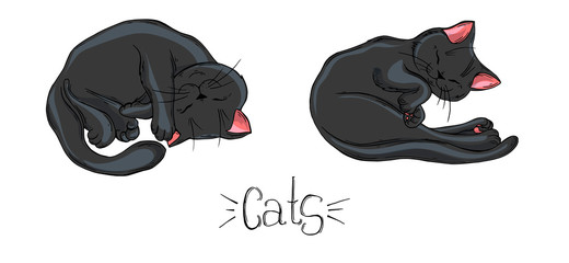 Painted set of black cats in different poses.