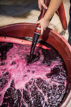 Pigéage, French wine-making process or punching down method in Italian winery