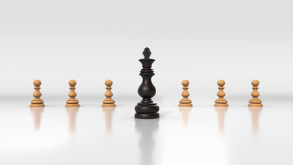 Chess pieces on board. Various pieces in wood and other finish