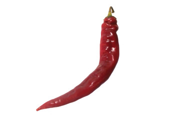 pepper isolated on white background