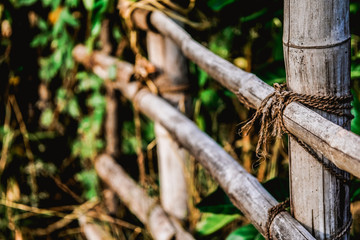 old fence