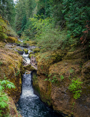 Dazzling Deschutes Falls plunging over the cliff into a breathtaking canyon surrounded by green bushes in Thurston County Yelm Washington State
