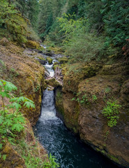 Obraz premium Dazzling Deschutes Falls plunging over the cliff into a breathtaking canyon surrounded by green bushes in Thurston County Yelm Washington State
