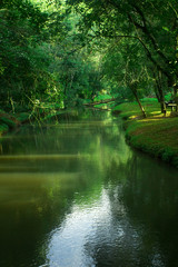 Fototapeta na wymiar Quiet green lanscape with stream in South American Jungle. 