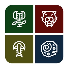 carnivore simple icons set