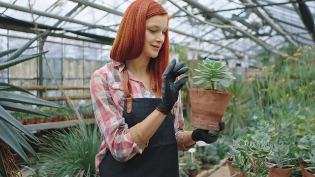 Portrait of a pretty lady in her flower greenhouse working with love over the table full with flowers in a pot she are smiling and enjoying the work