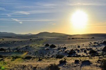 Obraz premium Sand dunes landscape. Parque Natural de Corralejo at Fuerteventura, Canary Islands, Spain. Late afternoon. Before the sunset. 