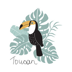  Toucan with tropical leaves on a white background. Vector illustration for printing on fabric, tableware, Wallpaper, postcard, banner.