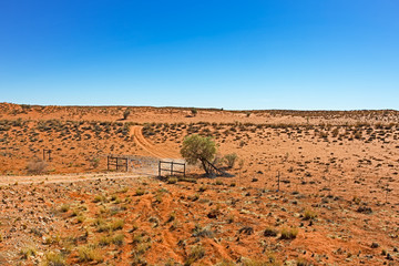 Landscape of dunes and track in Kalahari