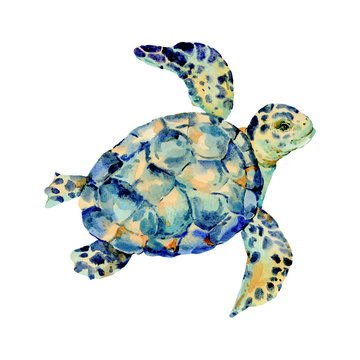 Watercolor vintage sea turtle natural greeting card