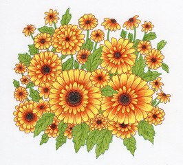 Hand drawn yellow flower shrub, Botanical illustration.
