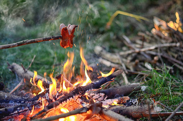 Close-up of a grilled sausage on a wooden stick being roasted over bright orange flames of a campfire.