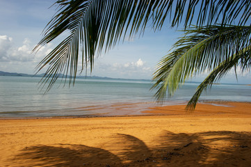 Obraz na płótnie Canvas Coconut trees and sea, beautiful natural scenery