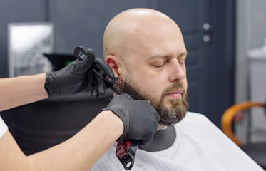 beard modeling in Barber shop, beard care for men, male beauty concept