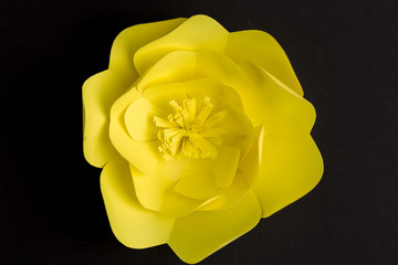 black background with yellow paper flower