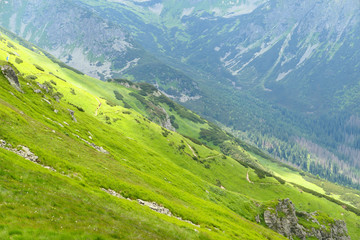 Fototapeta na wymiar Green alp in Tatra Mountains