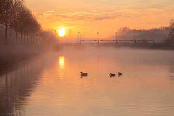 Atmospheric Sunrise along the old Leie quays in Menen.