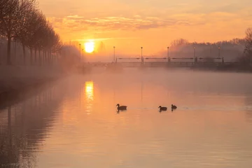 Fototapeten Atmospheric Sunrise along the old Leie quays in Menen. © krist