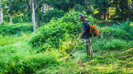 A middle aged man cutting the the thick bushes using the brush cutter machine under the scorching sun.