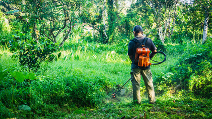 A middle aged man cutting the the thick bushes using the brush cutter machine under the scorching sun.