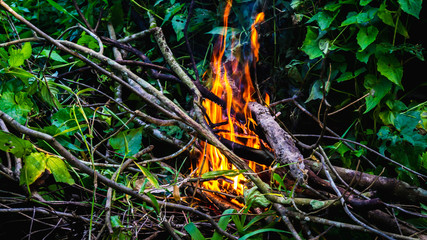 Close up view of fire burning the old dried tree branches and woods in the garden.