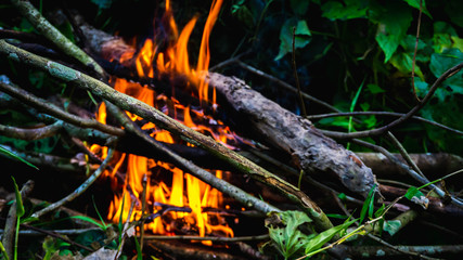 Close up view of fire burning the old dried tree branches and woods in the garden.