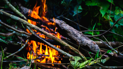 Close up view of fire burning the old dried tree branches and woods in the garden.