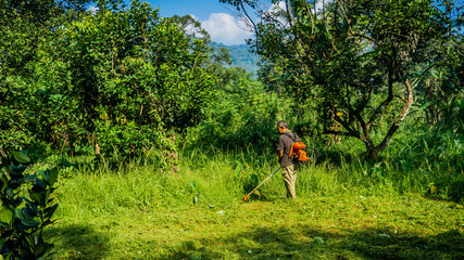 A middle aged man cutting the the thick bushes using the brush cutter machine under the scorching sun.