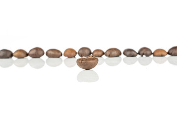 Lot of whole fresh coffee bean one in focus isolated on white background