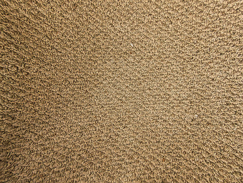 Brown Carpet Texture