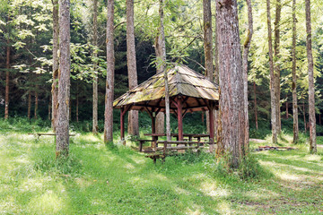 Wooden gazebo