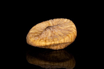 One whole dried fig isolated on black glass