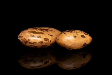 Group of two whole mottled brown bean pinto isolated on black glass