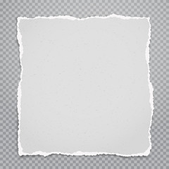 Obraz premium Torn, ripped piece of white grainy paper with soft shadow is on grey squared background for text. Vector illustration
