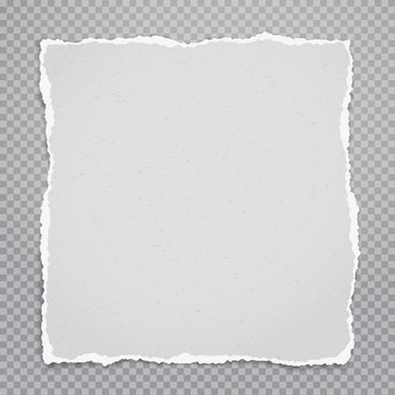 Torn, ripped piece of white grainy paper with soft shadow is on grey squared background for text. Vector illustration