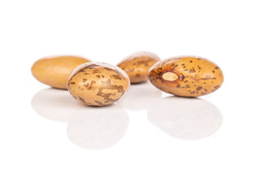 Group of four whole mottled brown bean pinto isolated on white background