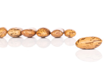 Group of seven whole mottled brown bean pinto isolated on white background