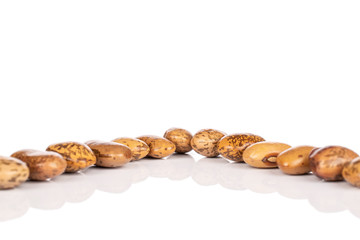 Group of thirteen whole mottled brown bean pinto isolated on white background