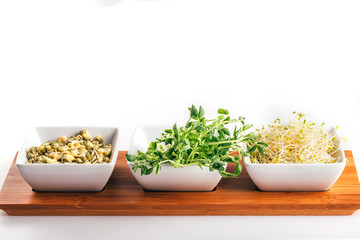 Fresh snow pea, mung and alfalfa sprouts in white bowls on wooden tray. Healthy diet superfood and micro green eating concept