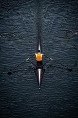 Solo Male Rower in Competition © renaschild