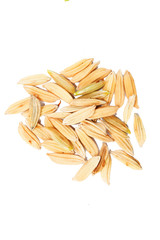 Rice closeup on white background