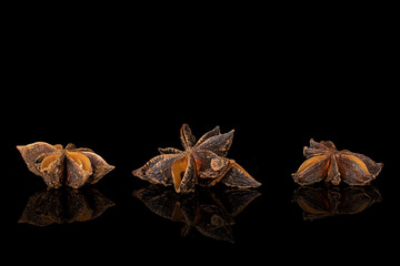Group of three whole aromatic brown badian isolated on black glass